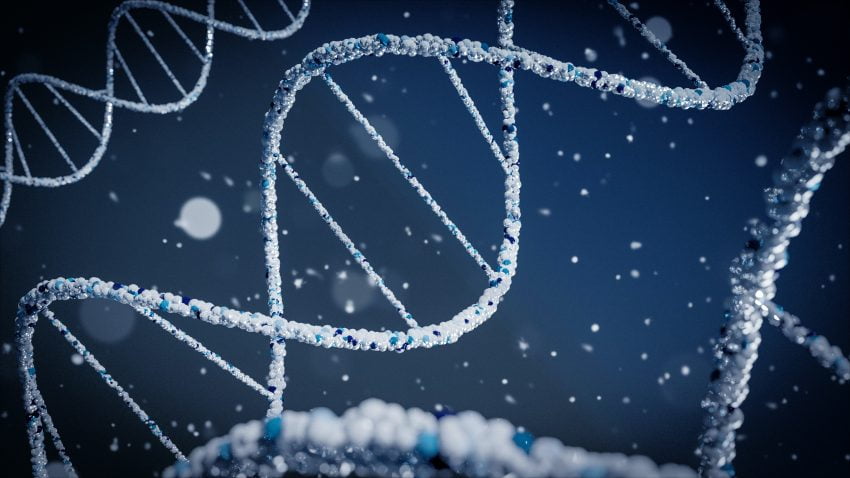 Evrimin Moleküler Mekanizmaları: DNA’dan Fenotiplere