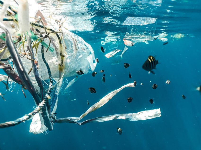Mikroplastiklerin Ekosistem Üzerindeki Etkisi: Okyanuslardan Soframıza
